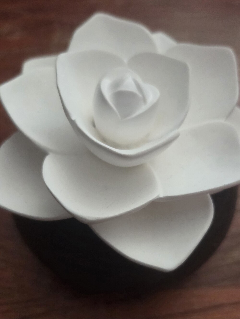 PartyLite White Ceramic Succulent Diffuser Accent
